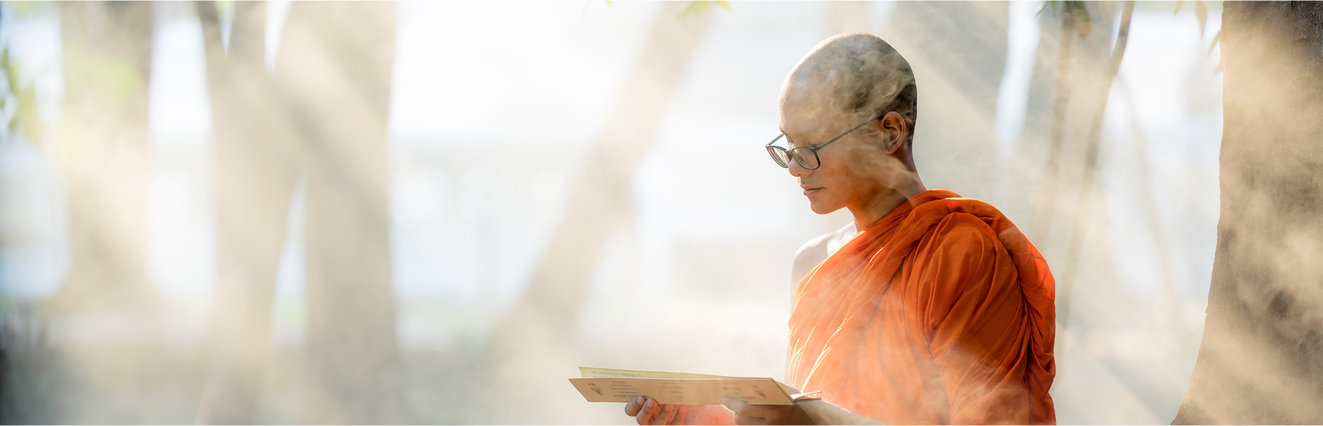 Đàn Hương và Phật giáo:
Hương thơm mang ý nghĩa tâm linh sâu sắc